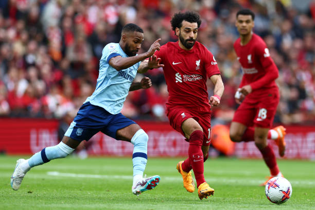 松组织起有 松组织起有