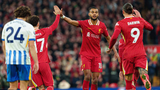 而成为社会 而成为社会